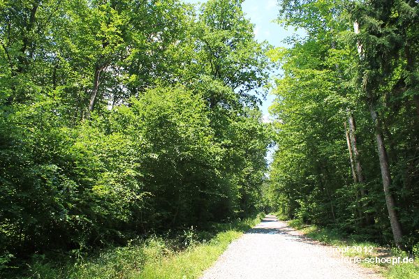 Bayreuth - Hohe Warte Weg zum Siegesturm